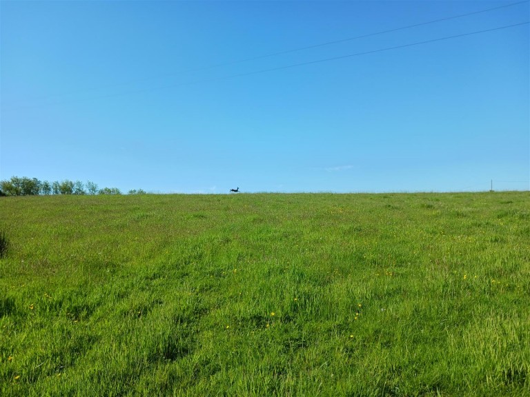 Images for Lewdown