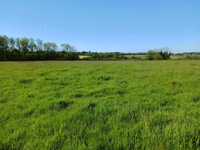 Images for Lewdown