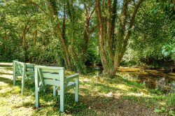 Images for Dunmere