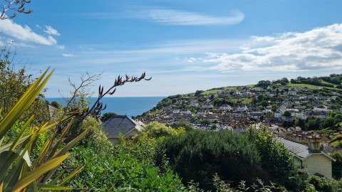 Click the photo for more details of Beer, Seaton