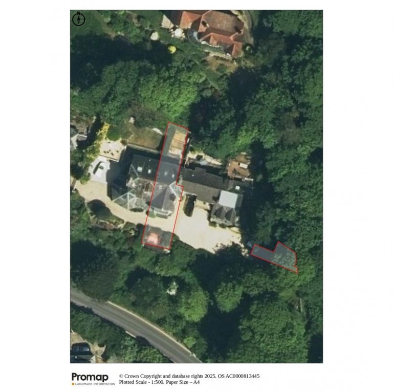 Images for Beer, Seaton