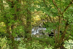 Images for Rockford, Brendon, Lynton