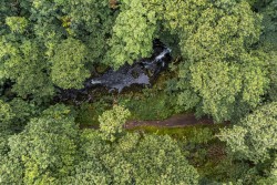 Images for Rockford, Brendon, Lynton