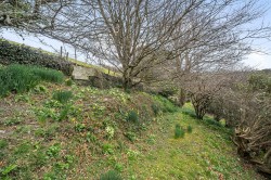 Images for Trethevy, Tintagel