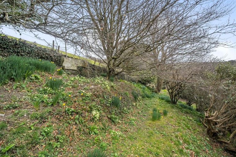 Images for Trethevy, Tintagel