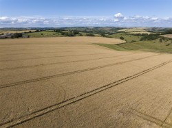 Images for Greenford Farm, Maiden Newton, Dorchester