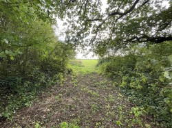 Images for Brewham, Bruton
