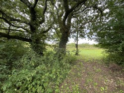 Images for Brewham, Bruton