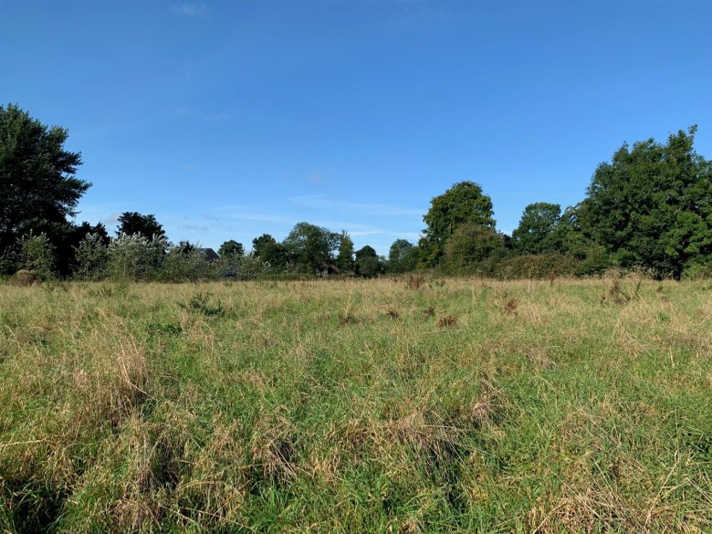 Click the photo for more details of Spring Gardens, Frome
