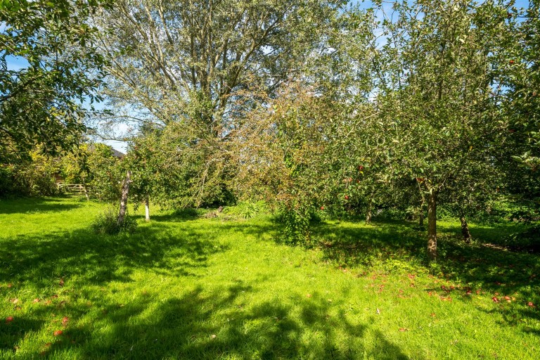 Images for Compton Durville, South Petherton