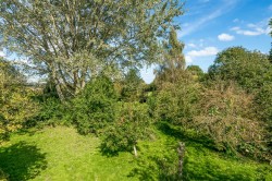 Images for Compton Durville, South Petherton
