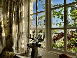 Images for North Molton