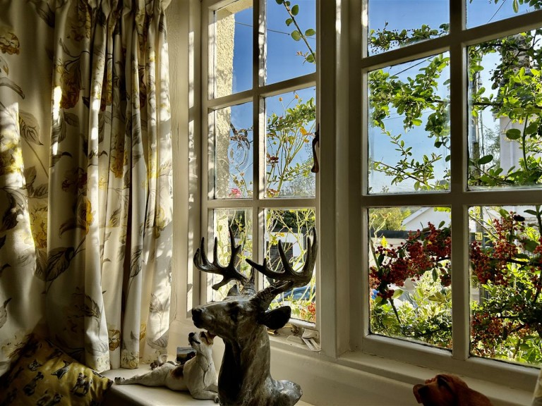 Images for North Molton