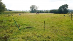 Images for Puddletown, Haselbury Plucknett, Crewkerne