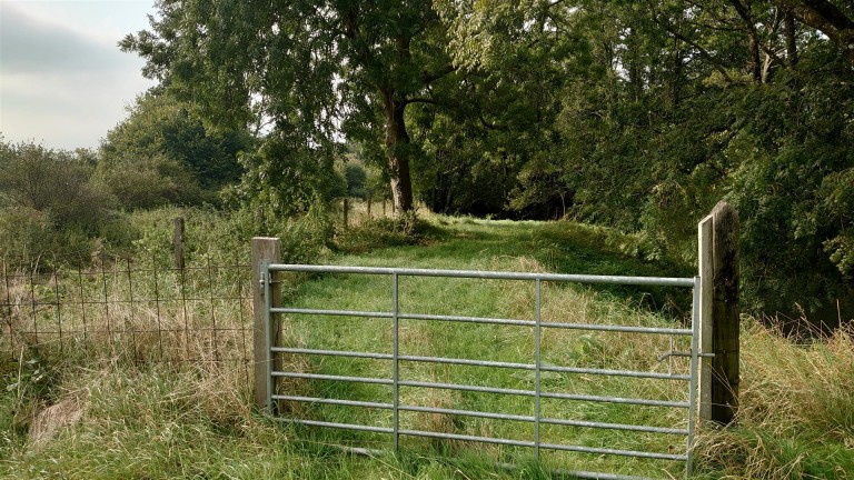 Images for Holywell, Dorchester