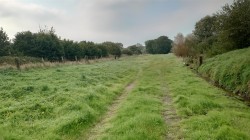 Images for Holywell, Dorchester