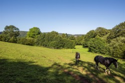 Images for Burrow, Wootton Courtenay, Minehead