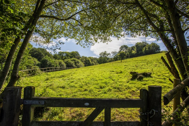 Images for Burrow, Wootton Courtenay, Minehead