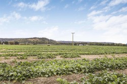 Images for Lewknor, Watlington