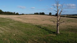 Images for George Nympton, South Molton