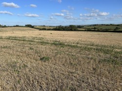 Images for George Nympton, South Molton