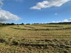 Images for Coldridge, Tiverton