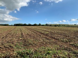 Images for Coldridge, Tiverton