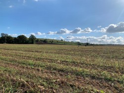 Images for Coldridge, Tiverton