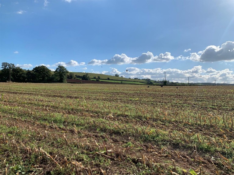 Images for Coldridge, Tiverton