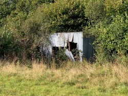 Images for Coldridge, Tiverton