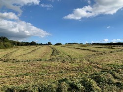 Images for Coldridge, Tiverton