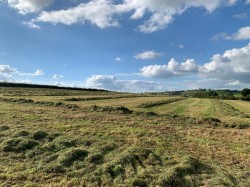 Images for Coldridge, Tiverton