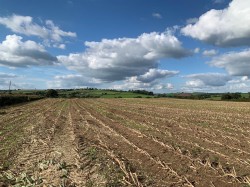 Images for Coldridge, Tiverton