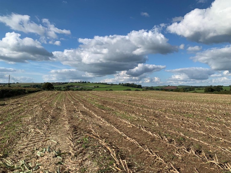 Images for Coldridge, Tiverton