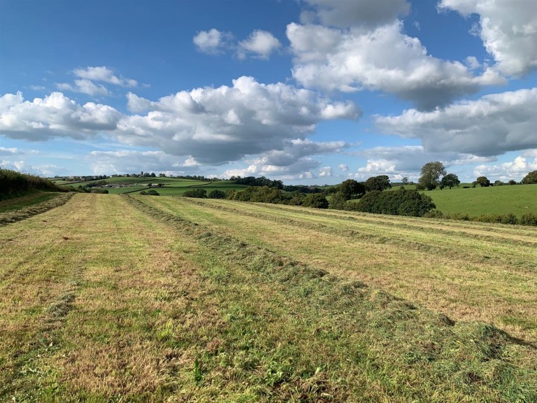 Images for Coldridge, Tiverton