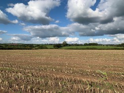 Images for Coldridge, Tiverton