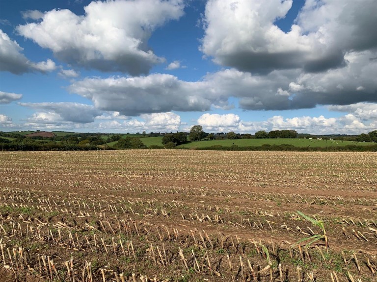 Images for Coldridge, Tiverton