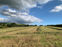 Images for Coldridge, Tiverton