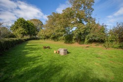 Images for Totnes