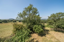 Images for Bluntshay Lane, Whitchurch Canonicorum, Bridport