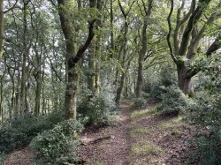 Images for Porlock, Minehead