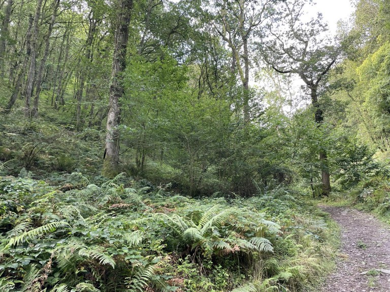 Images for Porlock, Minehead