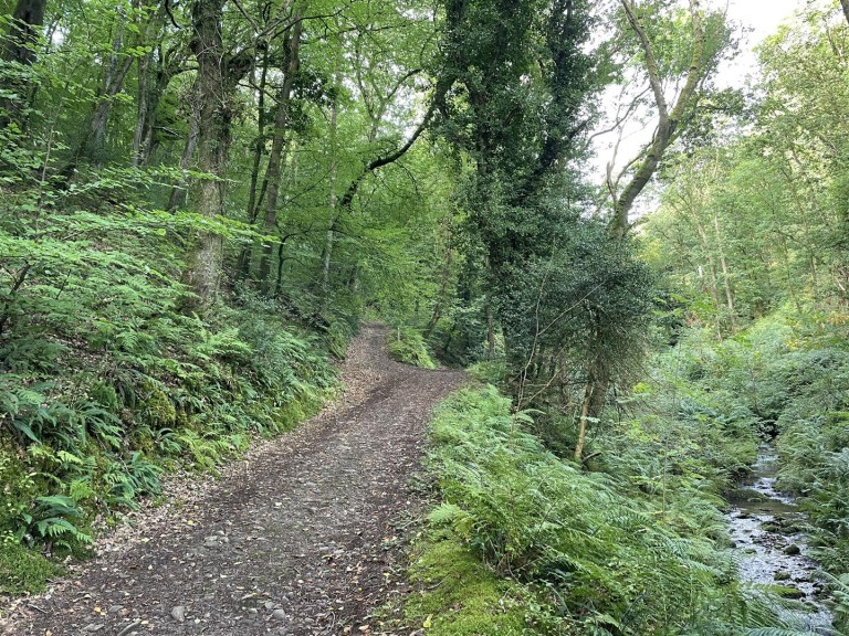 Images for Porlock, Minehead