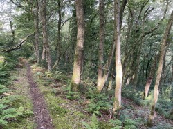 Images for Porlock, Minehead
