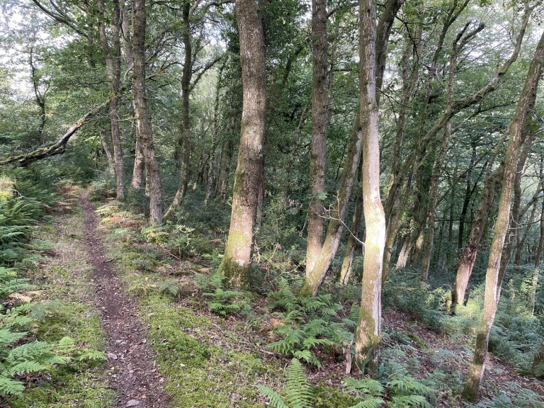 Images for Porlock, Minehead