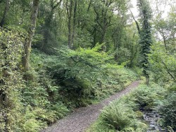 Images for Porlock, Minehead