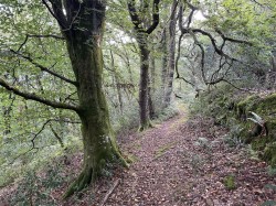Images for Porlock, Minehead