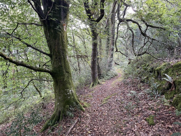 Images for Porlock, Minehead