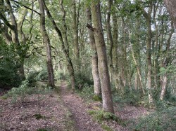 Images for Porlock, Minehead