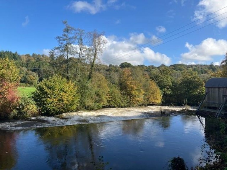 Images for Fishing on the Exe